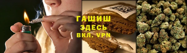 индика Арсеньев