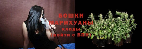 индика Арсеньев