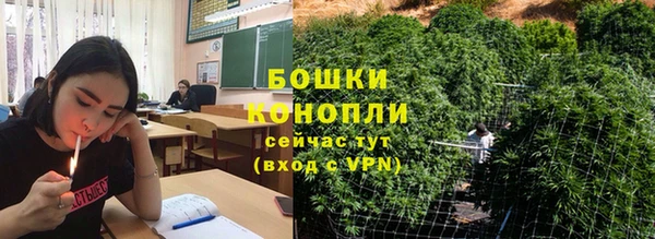 тгк Новозыбков