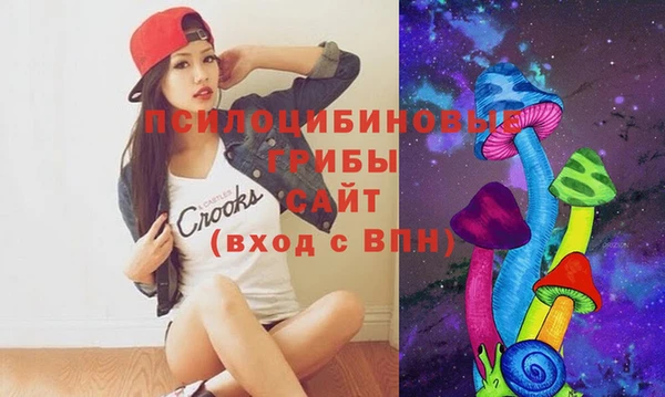 индика Арсеньев