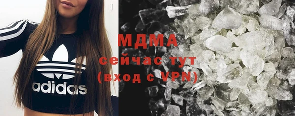 индика Арсеньев