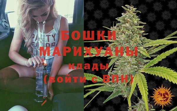 индика Арсеньев