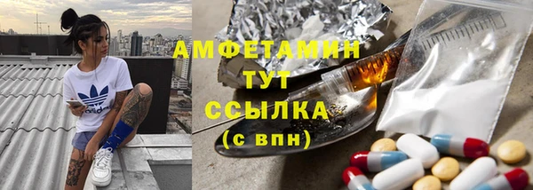индика Арсеньев