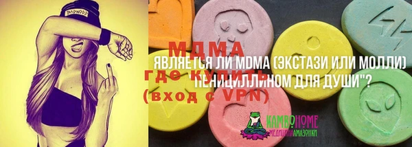 индика Арсеньев