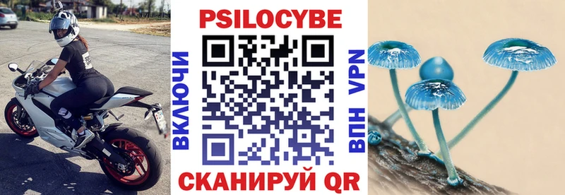 Псилоцибиновые грибы мухоморы  Спас-Клепики 